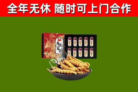 城北区回收冬虫夏草价格